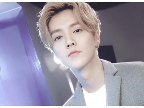 鹿晗新闻爆料视频,幕后故事与真实情感大公开